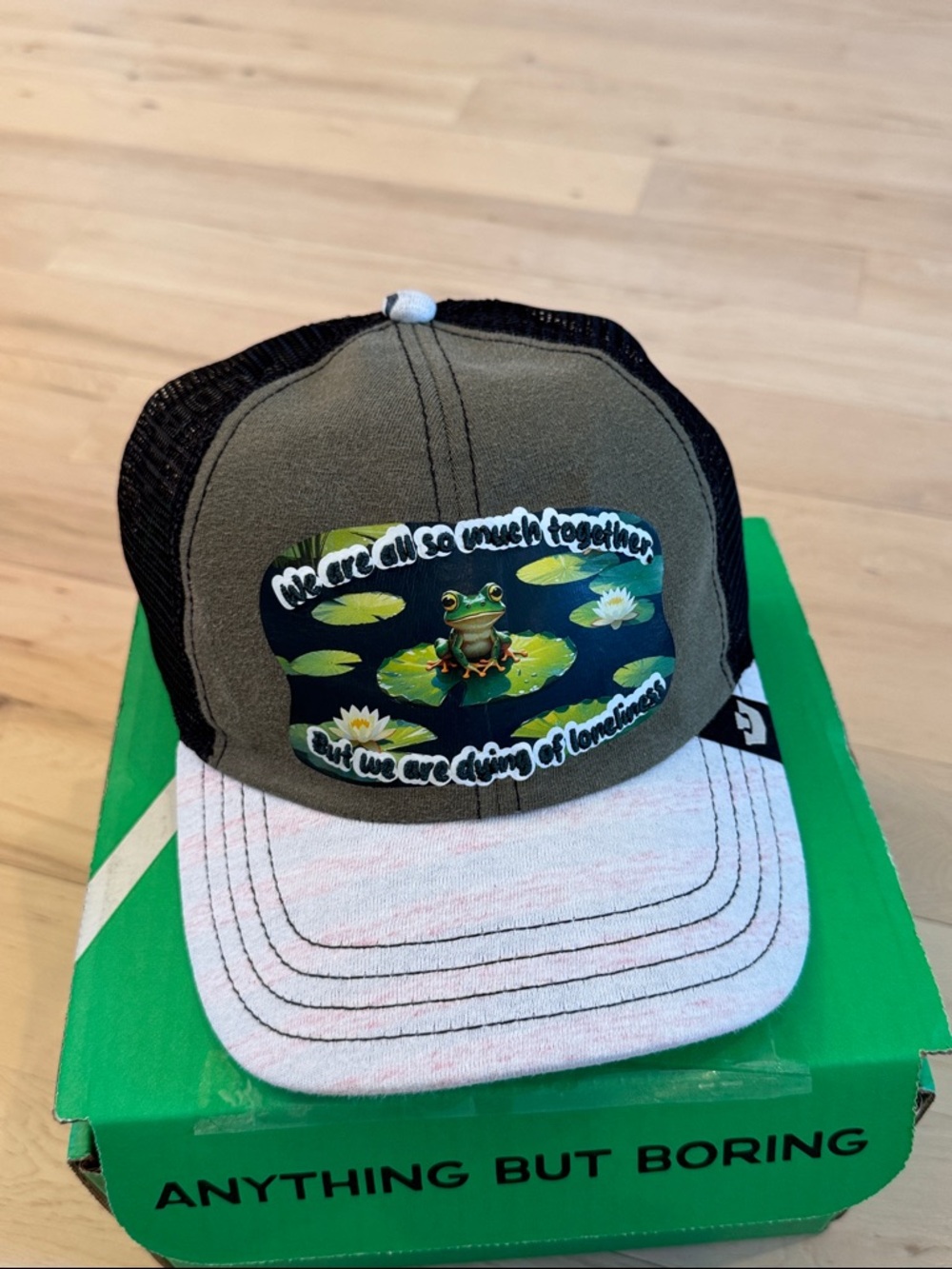 Goorin Bros. Frog-We are all so much together..Snapback Gat Cap-New-lil sohei